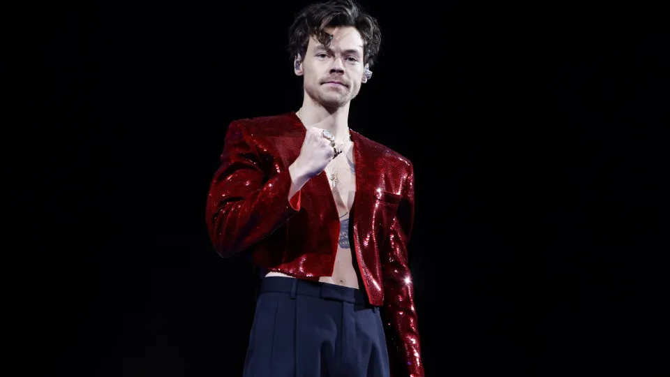 Harry Styles lança linha de vibradores e lubrificantes