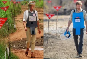 Harry repete princesa Diana e caminha em campo minado na África
