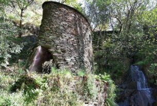 Lusofonias. Proteger a Criação, num mundo a arder ...