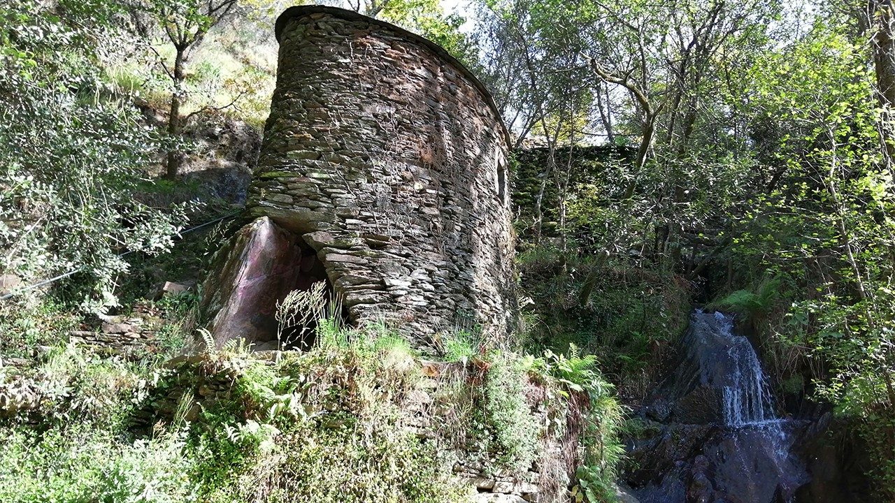 Lusofonias. Proteger a Criação, num mundo a arder ...