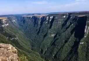 Planejamento da segurança em parques reduz riscos, mas não os elimina
