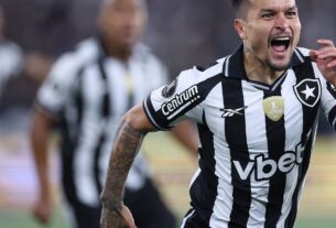 Botafogo vence LDU na Libertadores com gol relâmpago