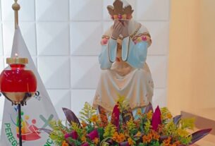 Do sonho à devoção: Santuário da Salette em São Paulo