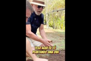 Em vídeo a Trump, Lula diz que planta comida, não ódio