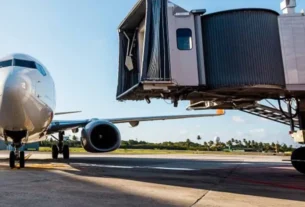 Homem abandona cachorro no aeroporto de Florianópolis e é preso ao chegar a Brasília