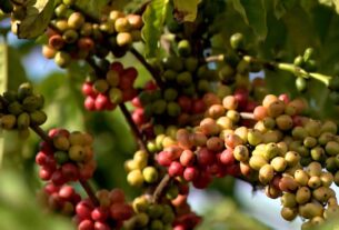 Indústria sofrerá mais que agro, avalia governo