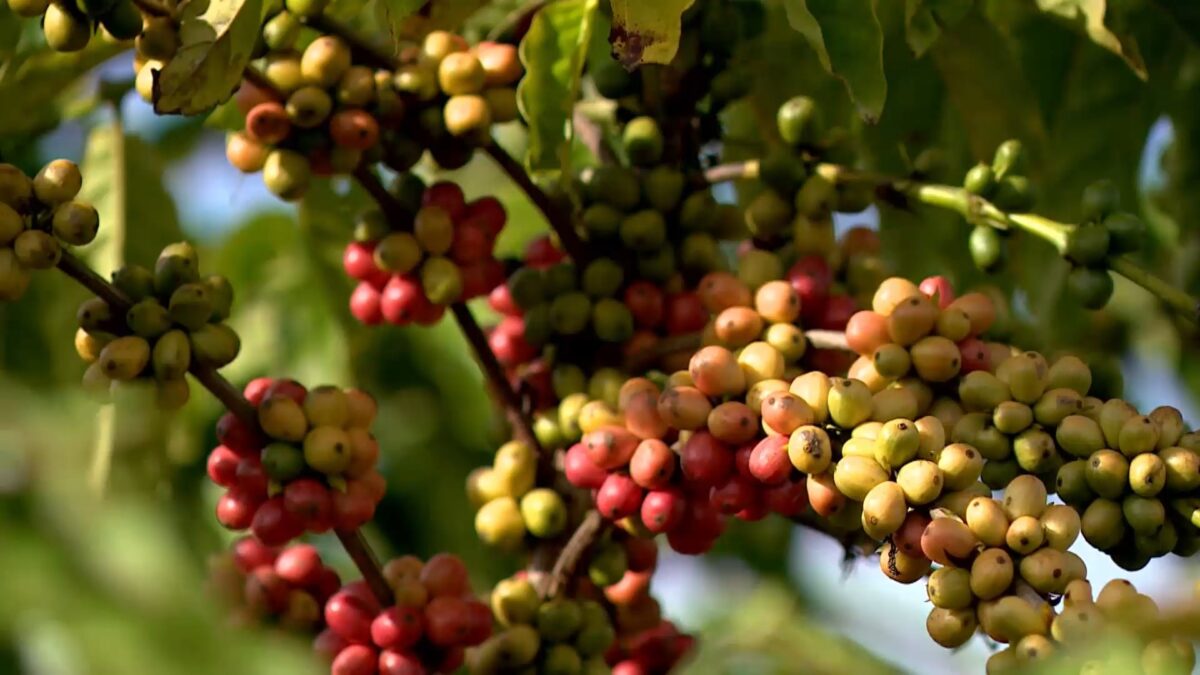 Indústria sofrerá mais que agro, avalia governo