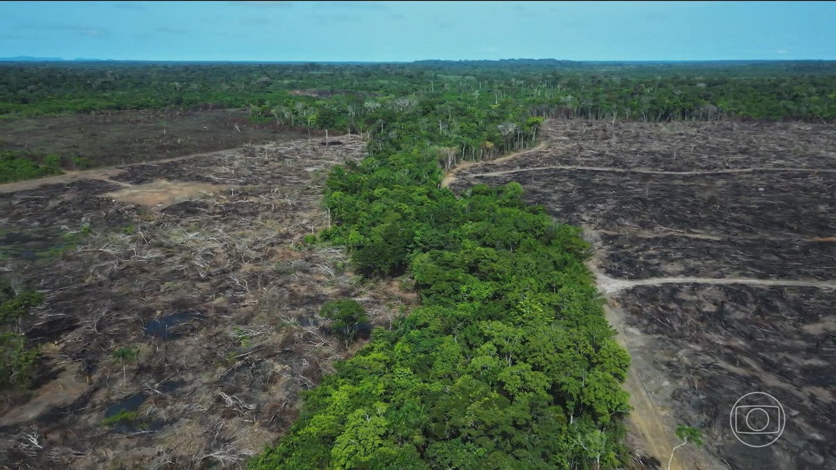 Licenciamento ambiental: governo sanciona a lei com 63 vetos
