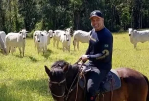 Nas Telas Em 'A Viagem', Veja Por Onde Anda Maurício Mattar