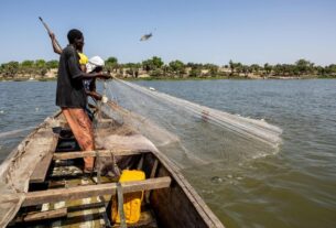 Regiões setentrionais da Nigéria sofrem de insegurança alimentar
