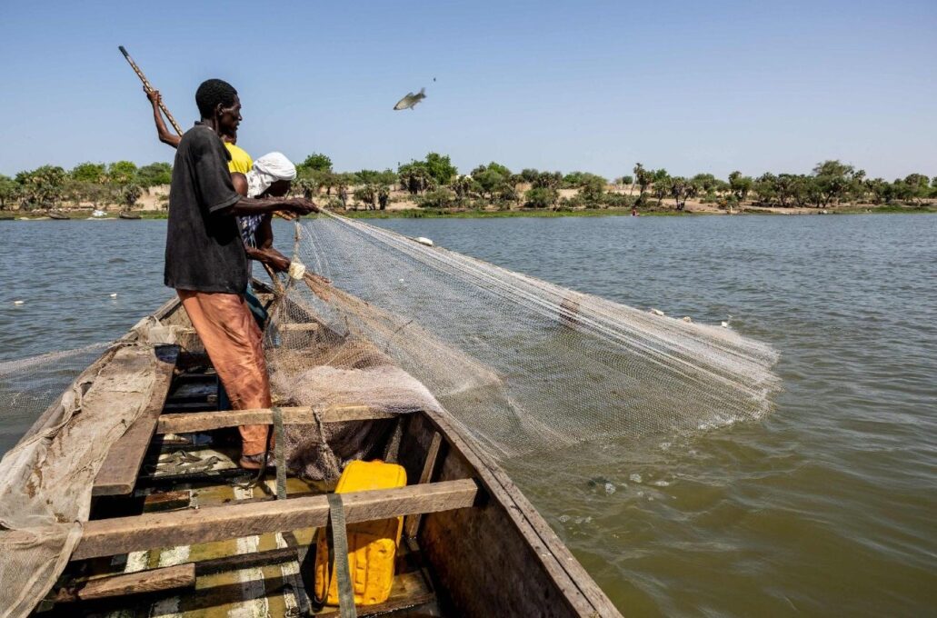 Regiões setentrionais da Nigéria sofrem de insegurança alimentar