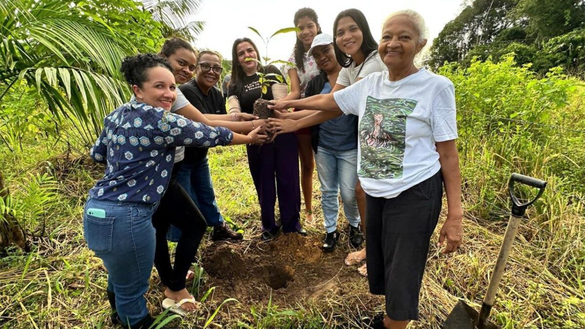 Amazônia: Guardiões da Sociobiodiversidade ao lado de quilombolas