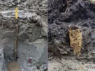 'Cápsula do tempo pré-histórica': tesouro de 5 mil anos é achado em pântano