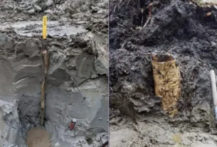 'Cápsula do tempo pré-histórica': tesouro de 5 mil anos é achado em pântano