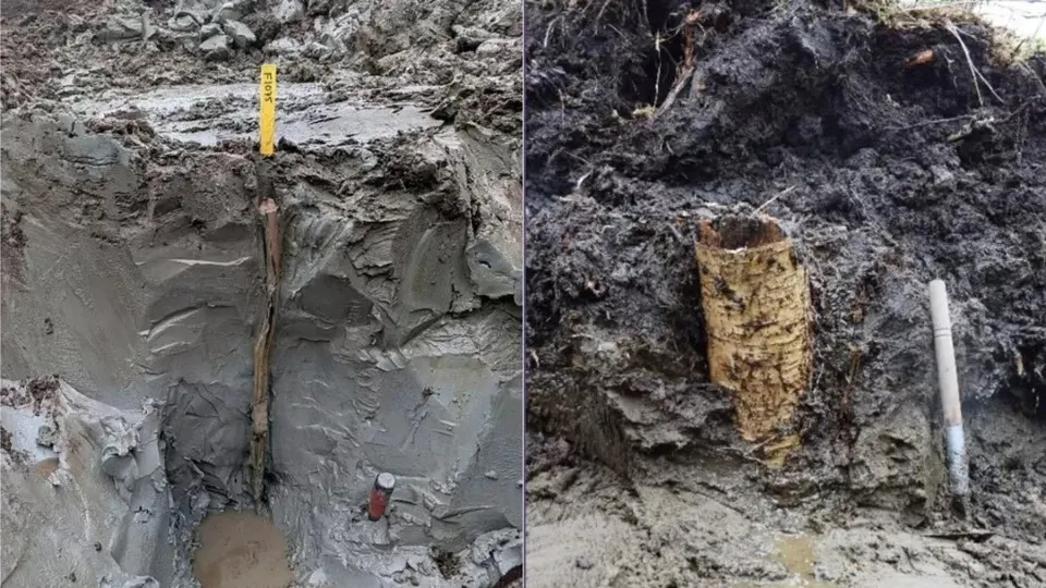 'Cápsula do tempo pré-histórica': tesouro de 5 mil anos é achado em pântano