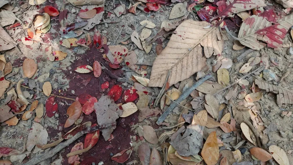 Corpo de mulher desaparecida é encontrado enterrado em casa na Grande SP