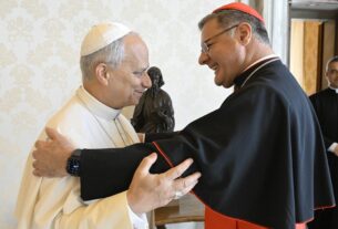 Em audiência com o Papa, Card. Paulo reforça convite a visitar o Brasil