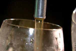 Estudo aponta que casos de transtorno por uso de álcool voltaram a crescer no Brasil