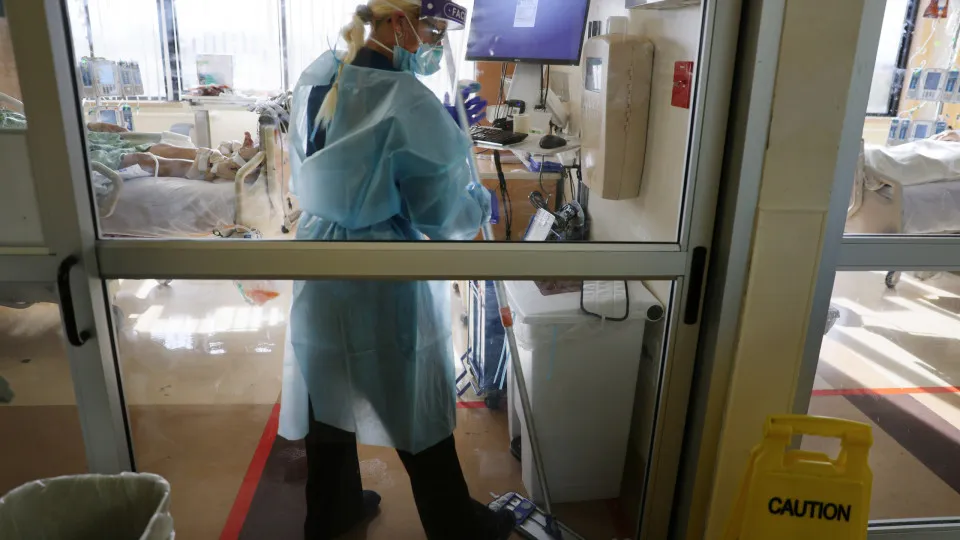 Fungo resistente a medicamentos se espalha rapidamente em hospitais europeus, alertam autoridades de saúde