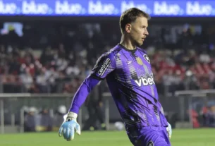 Goleiro do Botafogo, Neto passará por cirurgia e está fora da temporada