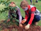 Junto com a Laudato si', cresceram árvores e crianças às margens do Paranapanema em SP