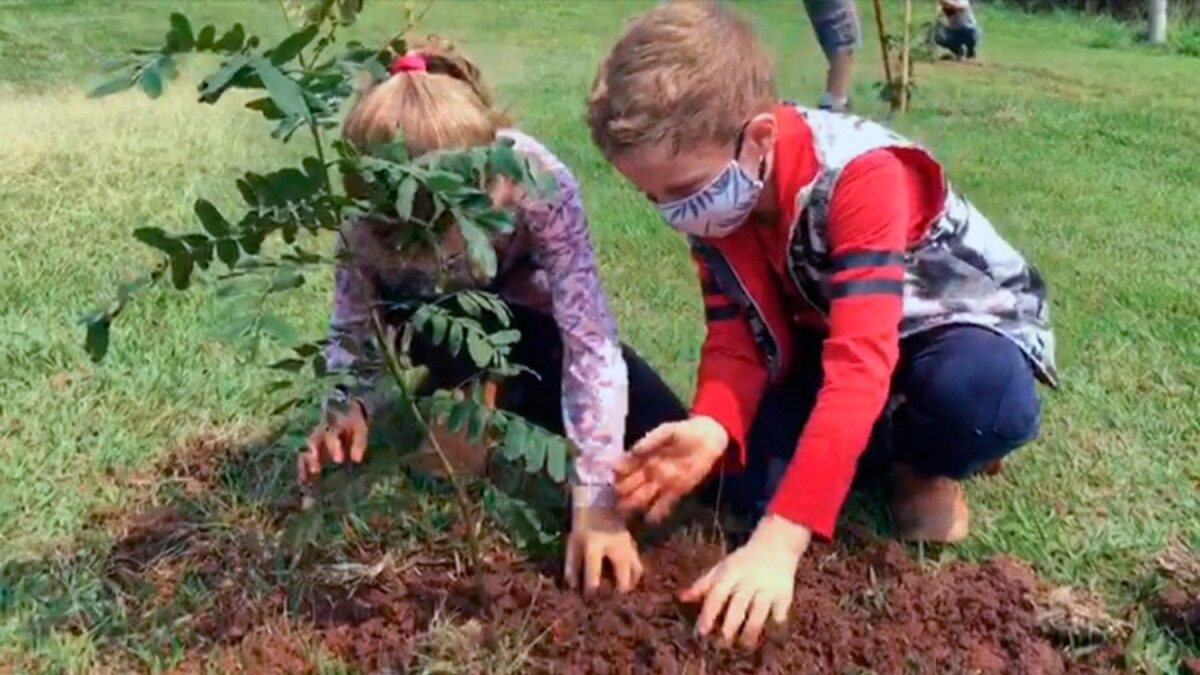 Junto com a Laudato si', cresceram árvores e crianças às margens do Paranapanema em SP