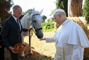 Papa inaugura o Borgo Laudato si': cuidar da criação é vocação de cada pessoa