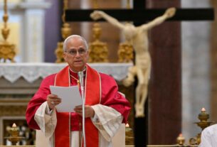 Papa recorda mártires e cita a "esperança desarmada" de Ir. Dorothy Stang na Amazônia