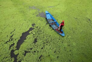 Redes Católicas e a COP30: não pode haver justiça climática sem paz