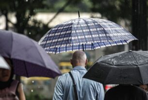 SP: Chuva, ventos fortes e queda de árvores deixam 900 mil sem energia