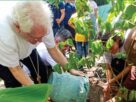 “Semeaduras”: ações de ecologia integral da Arquidiocese de Manaus