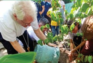 “Semeaduras”: ações de ecologia integral da Arquidiocese de Manaus