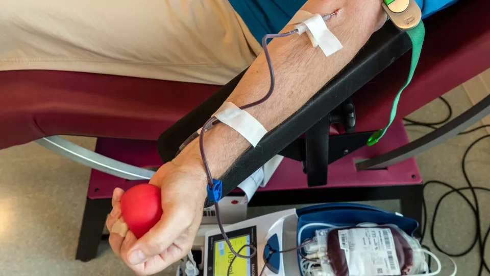 Tipo sanguíneo: as doenças mais comuns em cada grupo