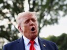 Trump se diz surpreso com condenação de Bolsonaro; Rubio promete resposta