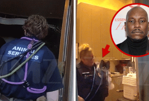 A avó de Tyrese detida durante o ataque conectada a cães assassinos, câmera corporal