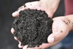 A controvérsia da compostagem humana - e onde ela é legal