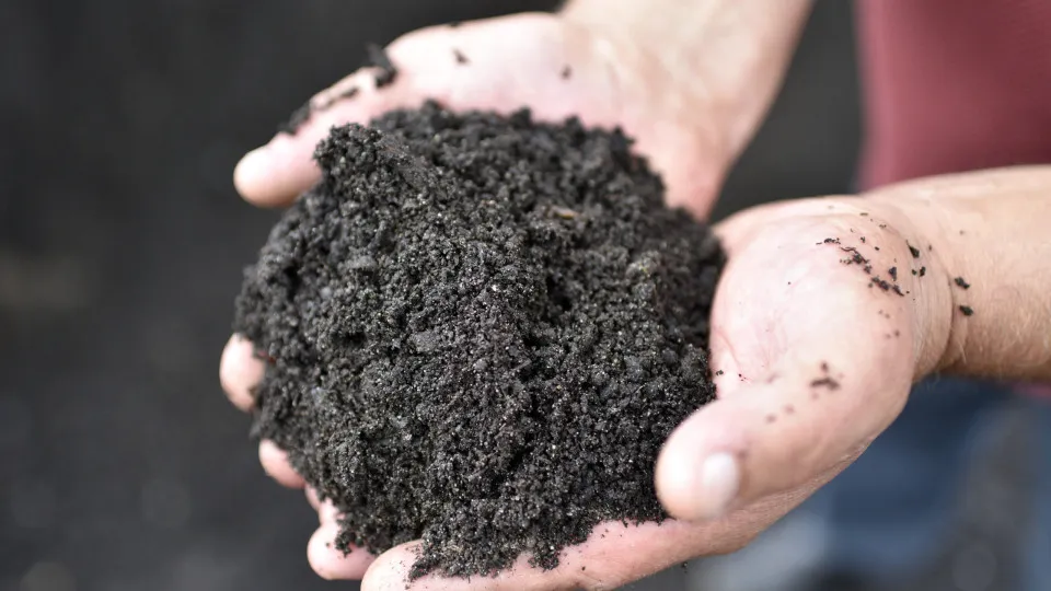 A controvérsia da compostagem humana - e onde ela é legal