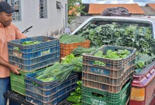 carro carregado de verduras