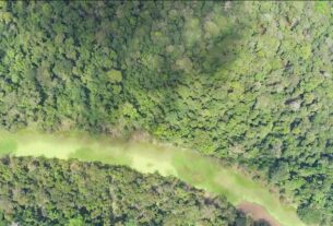 Alcolumbre confirma votação de vetos de Lula ao novo Licenciamento Ambiental, e governo tenta evitar derrota