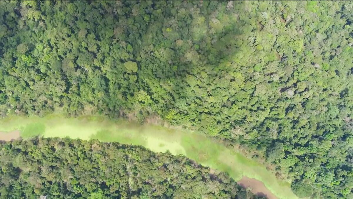 Alcolumbre confirma votação de vetos de Lula ao novo Licenciamento Ambiental, e governo tenta evitar derrota