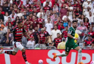 Como chegam rivais de Flamengo e Palmeiras na Libertadores