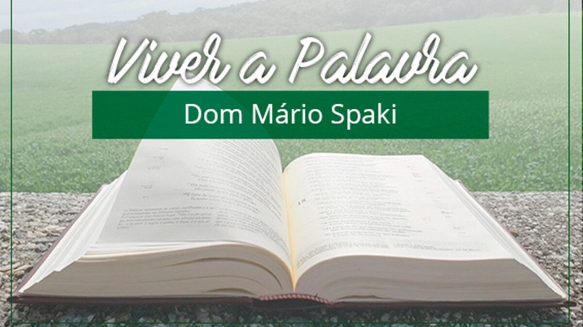 Evangelho de 13 de outubro