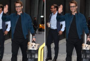 Glen Powell - Qual é a grande diferença?!