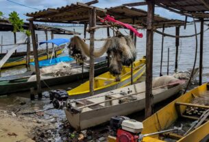 Início do defeso da piracema restringe pesca comercial no país