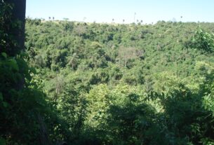 senadores articulam derrubada de vetos de Lula ao texto