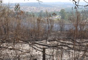 SP segue em atenção para queimadas; reservatórios estão em alerta