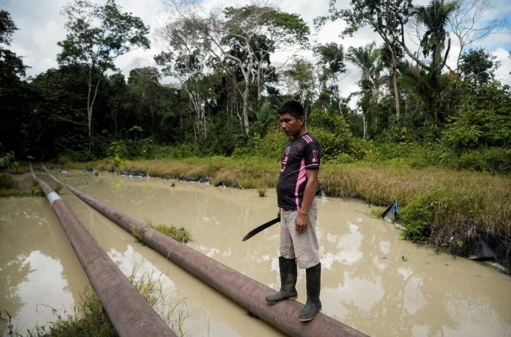 COP30: preservar a casa comum, porque nós não temos um plano B