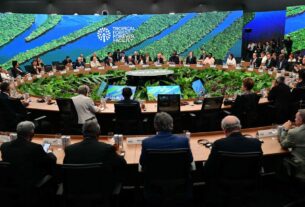 Cúpula do Clima: pacto pela vida das florestas, oceanos e da humanidade