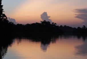 Docente da UFOPA: não deixar que a COP30 se transforme em balcão de recursos naturais
