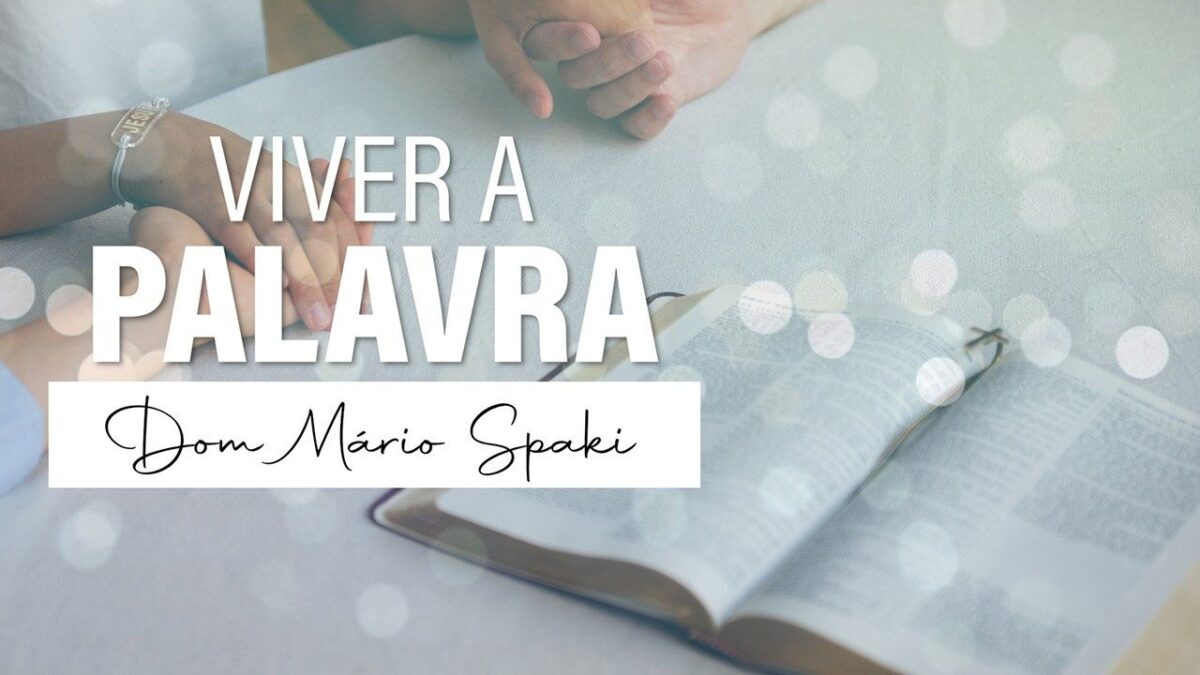 Evangelho de 14 de novembro